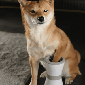 Electric foot washing cups for pets Media 