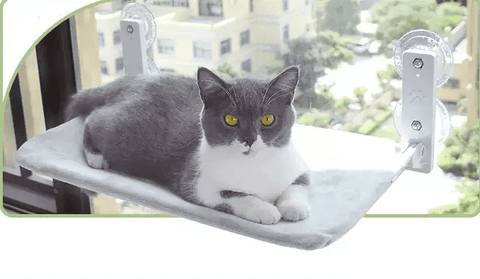 Image of Cat Suction Cup Window Glass Hammock Pet Cat Pets Products