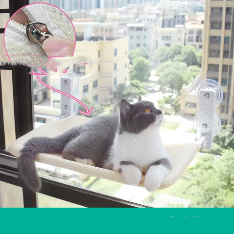 Image of Cat Suction Cup Window Glass Hammock Pet Cat Pets Products