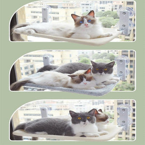 Cat Suction Cup Window Glass Hammock Pet Cat Pets Products Media 