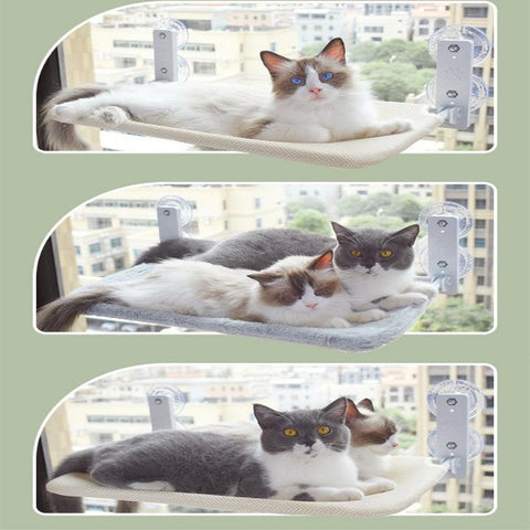 Image of Cat Suction Cup Window Glass Hammock Pet Cat Pets Products Media 