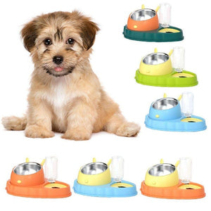 Double Bowl Stainless Steel Carrots Antiskid Pet Feeding Tool Tilt Design Carrot Appearance Dog Bowl For Indoor Pets Products Media 